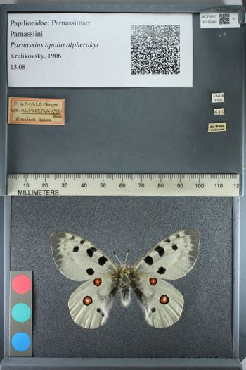 Media type: image;   Entomology 175069